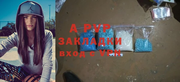 ГАЛЛЮЦИНОГЕННЫЕ ГРИБЫ Туринск