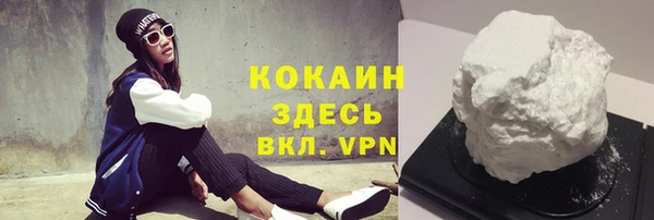 дурь Гусиноозёрск