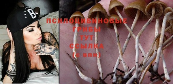 прущие крисы Каменногорск