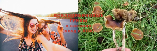 соль курить ск Гусев