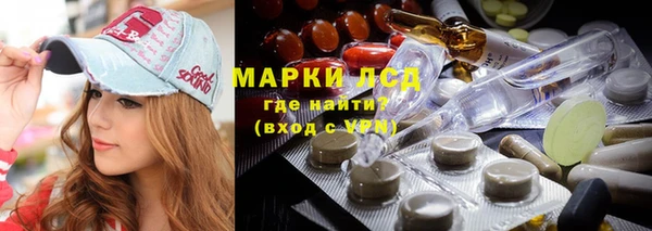 дурь Гусиноозёрск