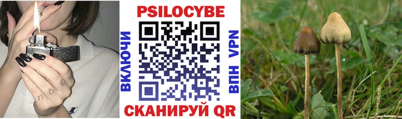 Псилоцибиновые грибы Cubensis  Дятьково 