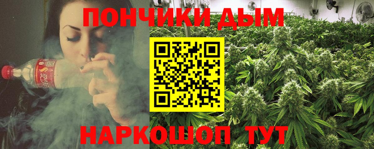 Конопля семена Дятьково